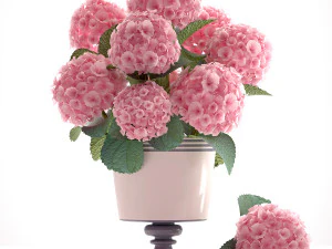 Collection of bouquets 40 pieces 3D Model