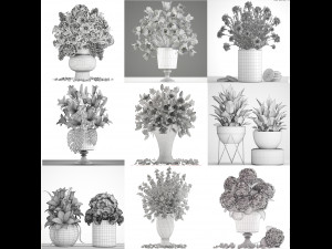 Collection of bouquets 40 pieces 3D Модель