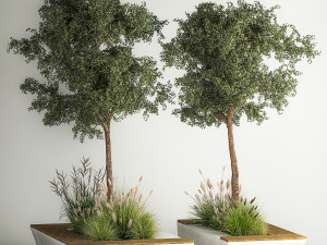 Trees for landscape design with a bench and bushes 1129 3D Model