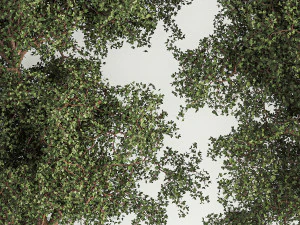 &Aacute;rboles para paisajismo con banco y arbustos 1129. Modelo 3D