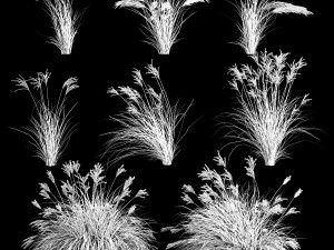 Ornamental Bushes For Landscape Design 1131 3D Model