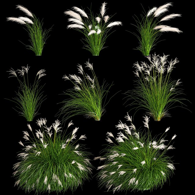Ornamental Bushes For Landscape Design 1131 3D Model .c4d .max .obj .3ds .fbx .stl .blend 