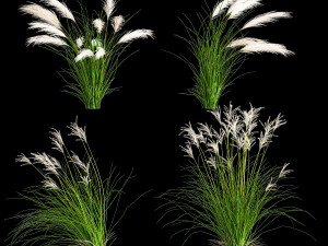 Ornamental Bushes For Landscape Design 1131 3D Model