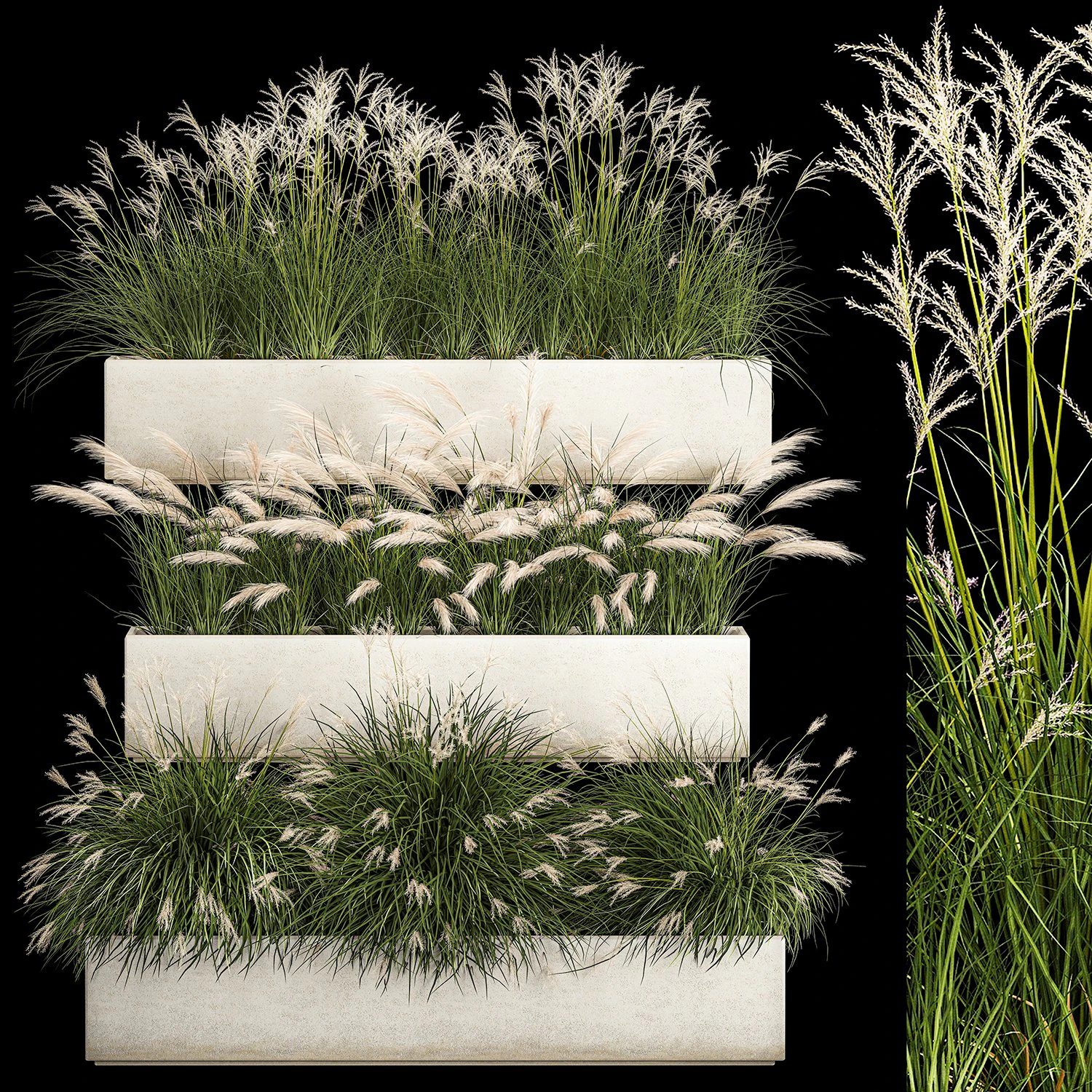 Bushes For Landscape Design Of Outdoor Flowerpots 1132 3D Model .c4d .max .obj .3ds .fbx .stl .blend 