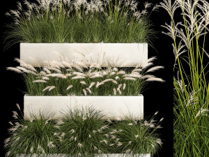 Bushes For Landscape Design Of Outdoor Flowerpots 1132 3D Model