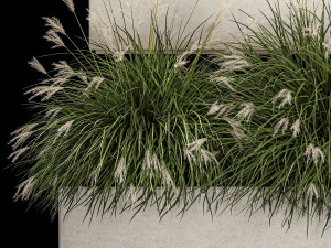 Bushes For Landscape Design Of Outdoor Flowerpots 1132 Modelo 3D