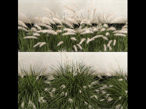 Bushes For Landscape Design Of Outdoor Flowerpots 1132 Modelo 3D