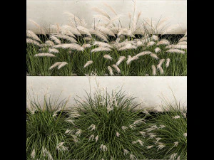 Bushes For Landscape Design Of Outdoor Flowerpots 1132 3D Model