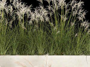 Bushes For Landscape Design Of Outdoor Flowerpots 1132 3D Model