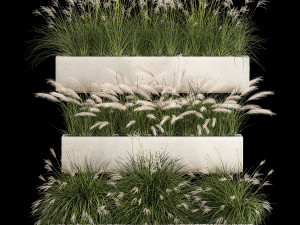 Bushes For Landscape Design Of Outdoor Flowerpots 1132 Modelo 3D