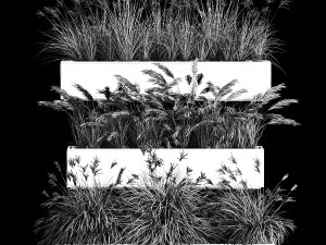 Bushes For Landscape Design Of Outdoor Flowerpots 1132 Modelo 3D