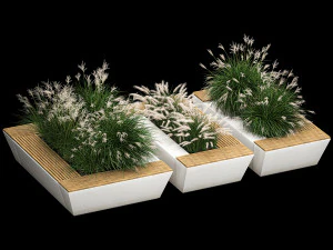 Banco de flores con arbustos de juncos y pasto pluma 1133 Modelo 3D
