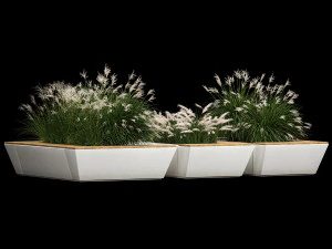 Banco de flores con arbustos de juncos y pasto pluma 1133 Modelo 3D