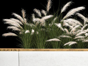 Flowerbed Bench With Bushes Feather Grass 1134 3D Model