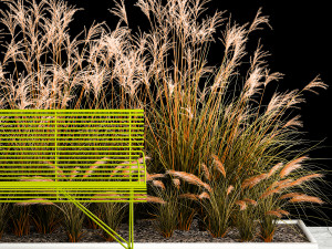 Flowerbed Bench With Bushes Feather Grass 1135 3D मॉडल
