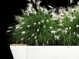 Flowerbed Bench With Bushes Feather Grass 1136 3D Model