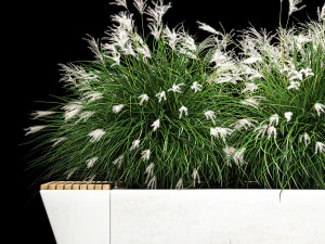 Flowerbed Bench With Bushes Feather Grass 1136 3D Model
