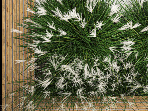 Flowerbed Bench With Bushes Feather Grass 1136 3D Model