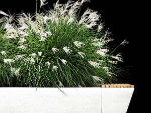 Flowerbed Bench With Bushes Feather Grass 1136 3D Model