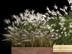Flowerbed With Bushes In Rusty Flowerpots 1138 3D-Modell
