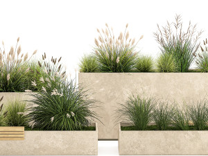 Bushes For Landscaping And Urban Environments 1141 Modelo 3D