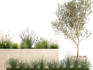 Bushes For Landscaping And Urban Environments 1141 Modelo 3D