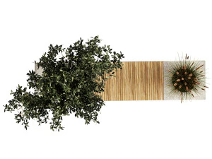 Bushes and tree for landscaping and urban environment 1145 3D Model