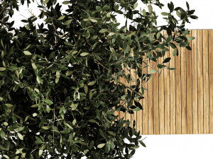 Bushes and tree for landscaping and urban environment 1145 3D Model