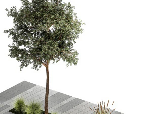 Tree and bushes with bench for outdoor environment 1146 3D Model