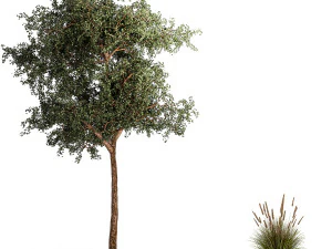 Tree and bushes with bench for outdoor environment 1146 3D Model