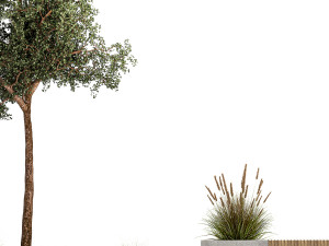 Tree and bushes with bench for outdoor environment 1146 3D Модель