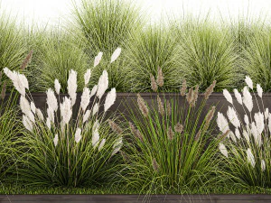 Grass and bushes in a rusty flowerbed 1148 3D Model