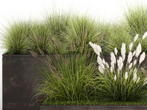 Grass and bushes in a rusty flowerbed 1148 3D Model