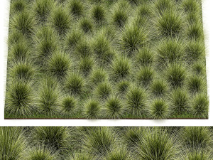 Decorative bushes feather grass grass for landscape design 1150 3D Model