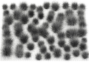 Decorative bushes feather grass grass for landscape design 1150 Modello 3D