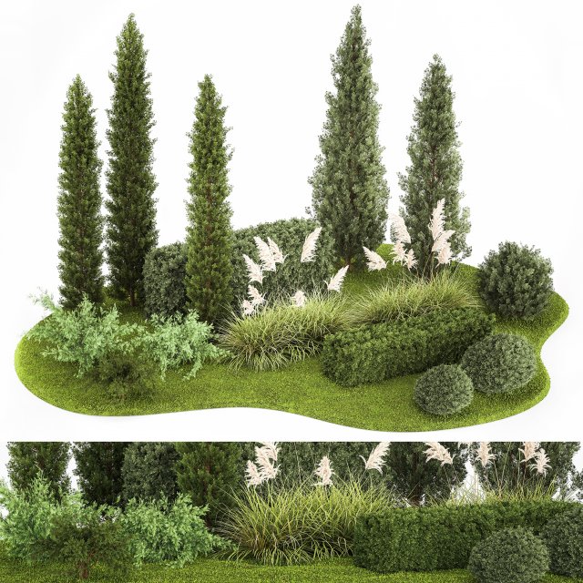 Garden of thuja and cypress trees with pampas grass bushes 1152 3D Модель .c4d .max .obj .3ds .fbx .stl .blend 
