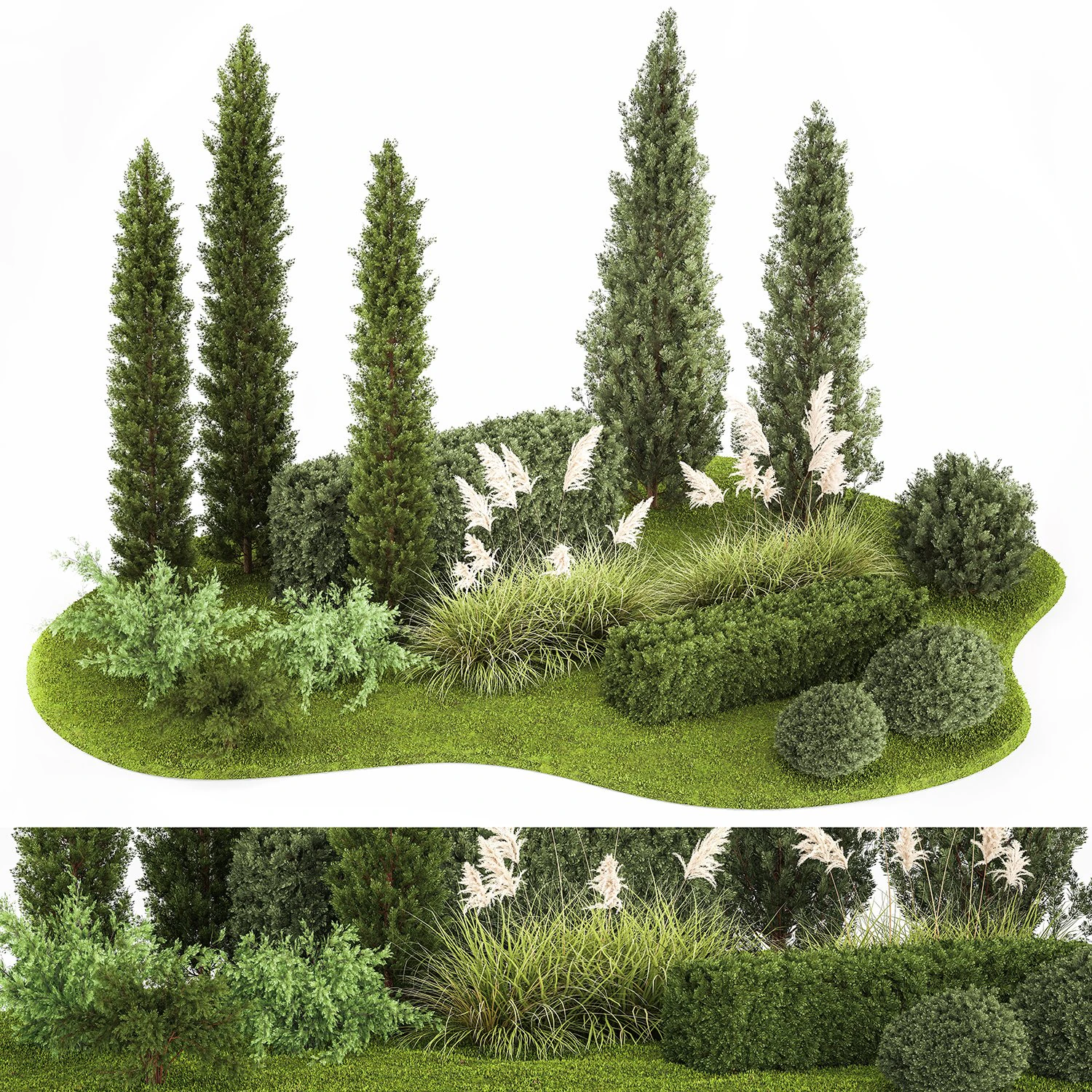 Garden of thuja and cypress trees with pampas grass bushes 1152 3D Model .c4d .max .obj .3ds .fbx .stl .blend 