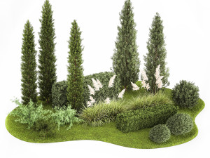 Garden of thuja and cypress trees with pampas grass bushes 1152 3D Модель