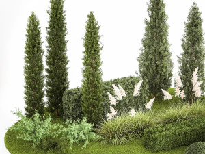 Garden of thuja and cypress trees with pampas grass bushes 1152 3D Model
