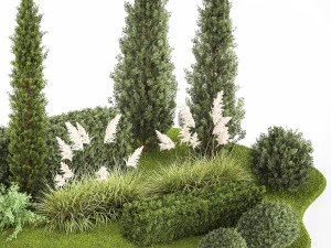 Garden of thuja and cypress trees with pampas grass bushes 1152 3D Model