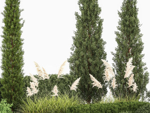 Garden of thuja and cypress trees with pampas grass bushes 1152 3D Модель