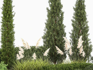 Garden of thuja and cypress trees with pampas grass bushes 1152 3D Model