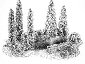 Garden of thuja and cypress trees with pampas grass bushes 1152 3D Model