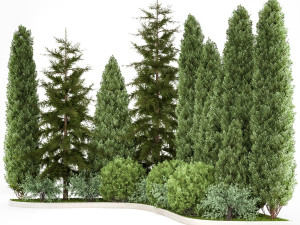 Garden of thuja and cypress trees with bushes 1153 3D Model