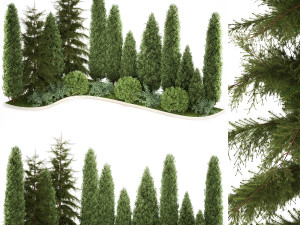 Garden of thuja and cypress trees with bushes 1153 Model 3D