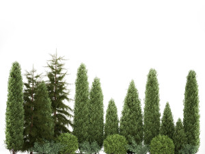 Garden of thuja and cypress trees with bushes 1153 Model 3D