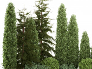 Garden of thuja and cypress trees with bushes 1153 Model 3D