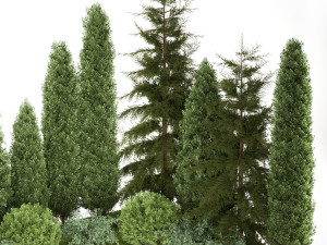 Garden of thuja and cypress trees with bushes 1153 Model 3D