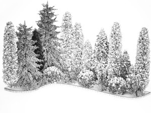 Garden of thuja and cypress trees with bushes 1153 Model 3D