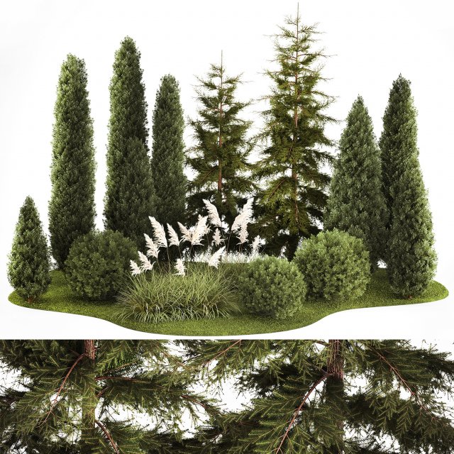 Garden of thuja and cypress trees with pampas grass bushes 1154 Modèle 3D .c4d .max .obj .3ds .fbx .stl .blend 
